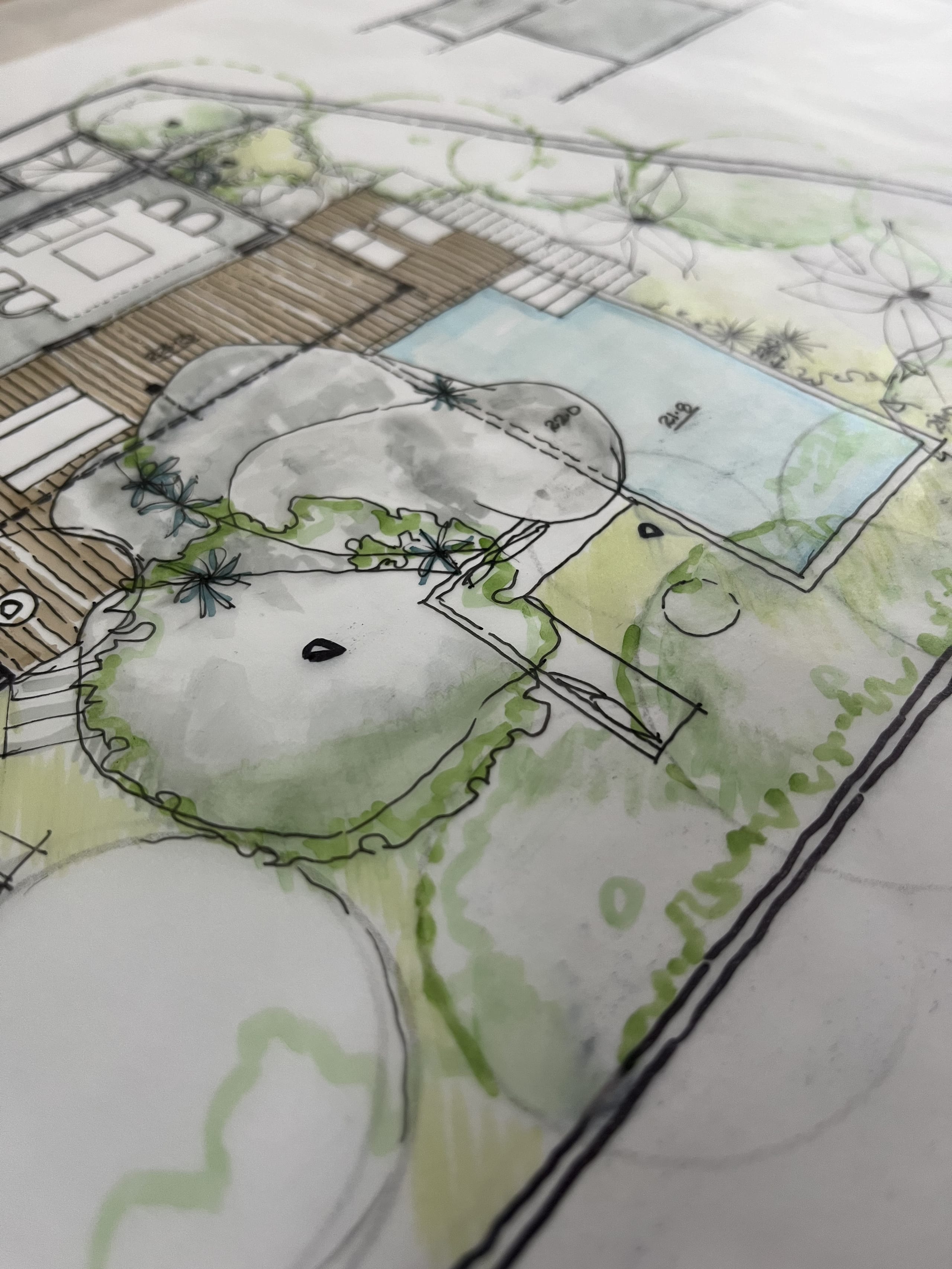 Hand-drawn landscape and site plan sketch on the studio's drawing board
